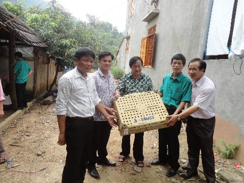 DABACO tặng xã Tân Trào 1.000 gà giống