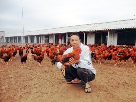 Thị trường tiêu dùng gà chuyển hướng