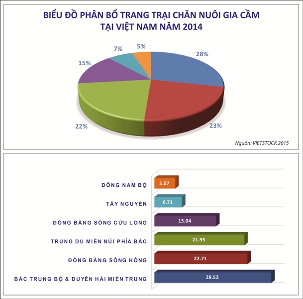Vào TPP – Người chăn nuôi quyết định sự thành - bại Vào TPP – Người chăn nuôi quyết định sự thành - bại