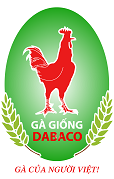 Gà giống Dabaco