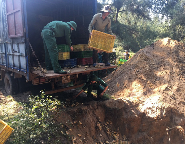 Bắt thuyền chở 50.000 gà giống từ Trung Quốc về Việt Nam Bắt thuyền chở 50.000 gà giống từ Trung Quốc về Việt Nam