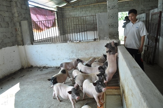 Từ câu chuyện nhiễm sán dây lợn tại trường mầm non Bắc Ninh đến quan niệm sai lầm về thực phẩm sạch Từ câu chuyện nhiễm sán dây lợn tại trường mầm non Bắc Ninh đến quan niệm sai lầm về thực phẩm sạch