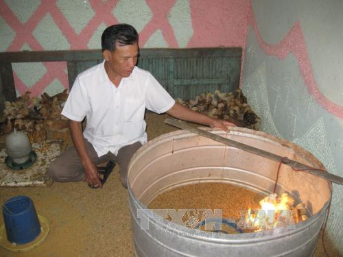 ​Nông dân Ninh Bình nuôi gà nòi Ja-Dabaco