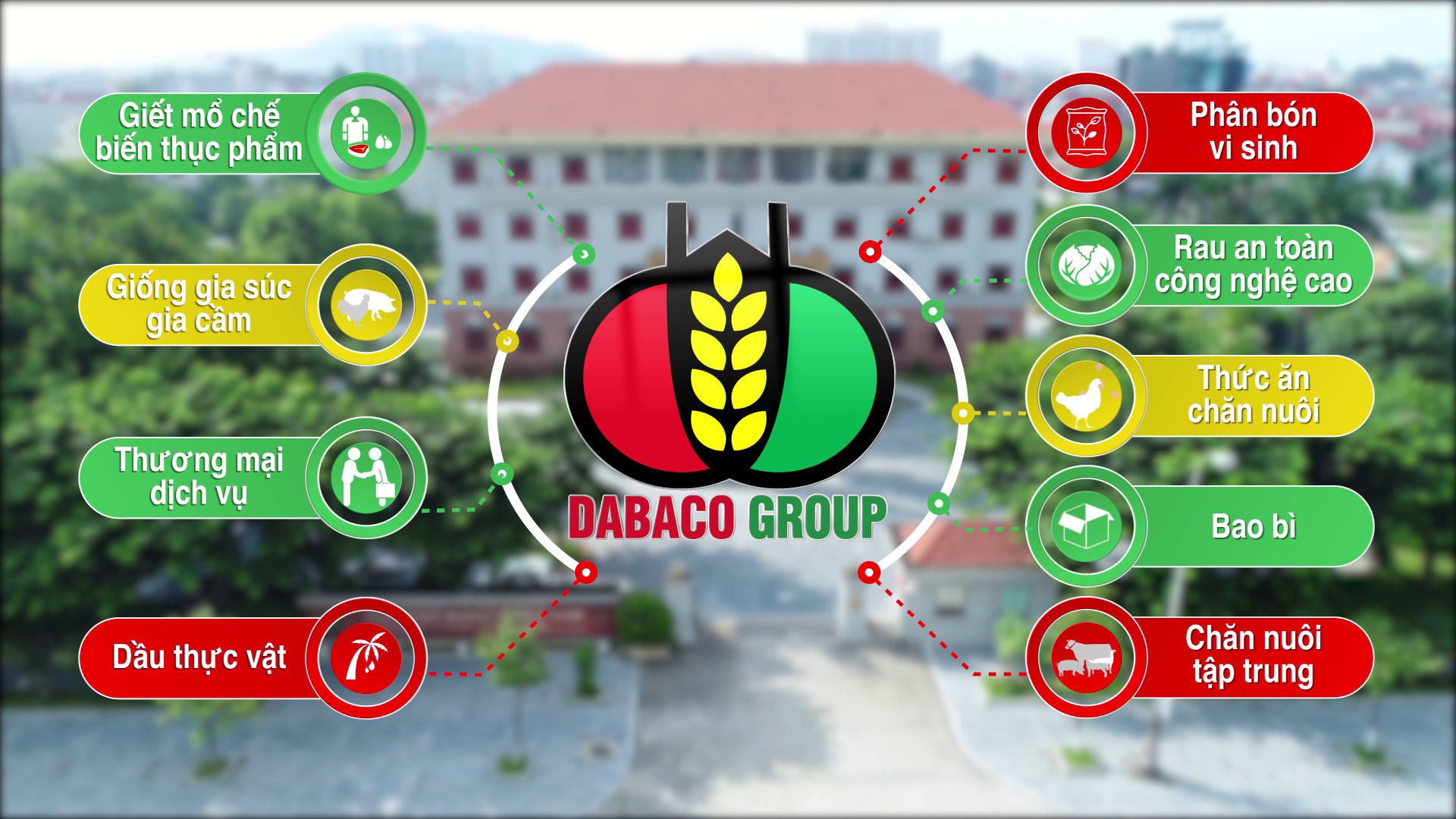 ​Tập đoàn Dabaco Việt Nam 12 năm liên tiếp nằm trong top 500 doanh nghiệp lớn nhất Việt Nam
