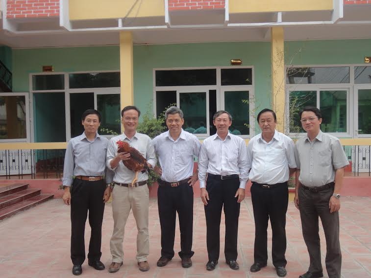 Hợp tác
