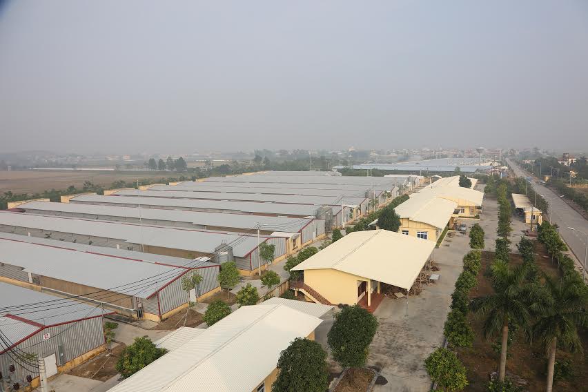 Trung tâm nghiên cứu và phát triển giống gia cầm Dabaco
