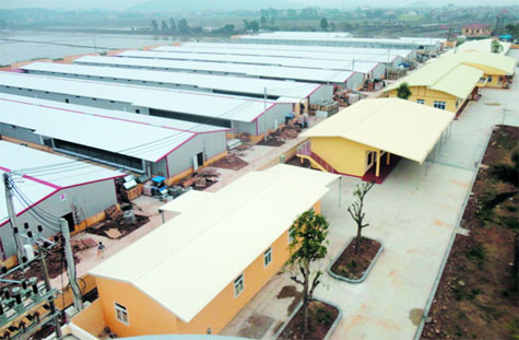 Nhà máy sản xuất con giống và các Trung tâm