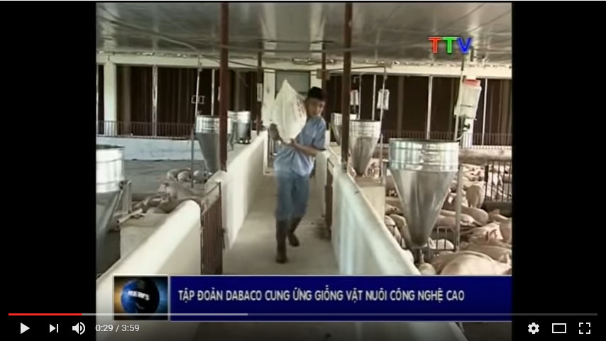 Tập đoàn DABACO cung ứng giống vật nuôi công nghệ cao vào Thanh Hóa